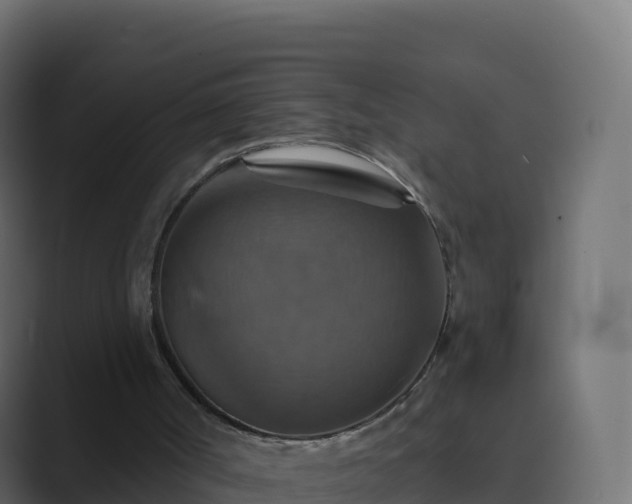 X0000089720002200706281539