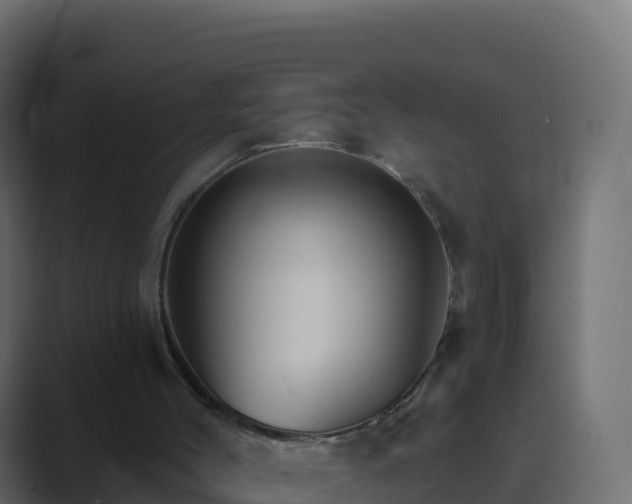 X0000089720004200706281539