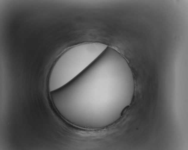 X0000089720005200706281539