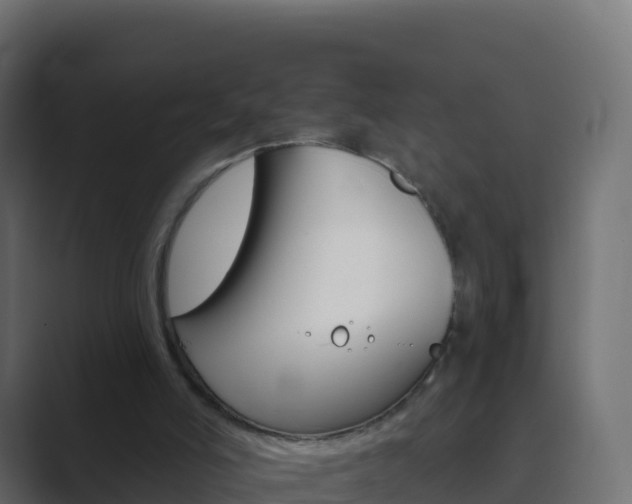 X0000089720006200706281539