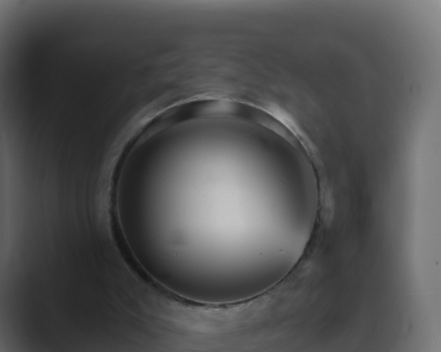 X0000089720007200706281539