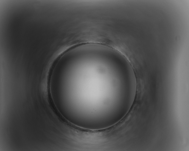 X0000089720008200706281539