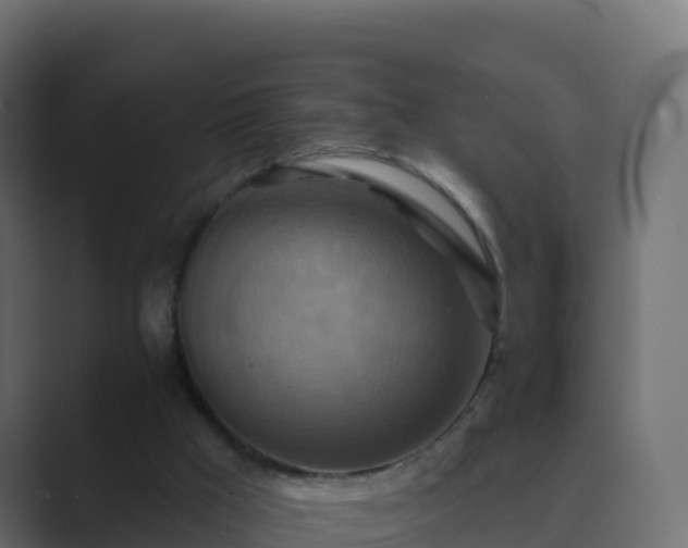 X0000089720009200706281539