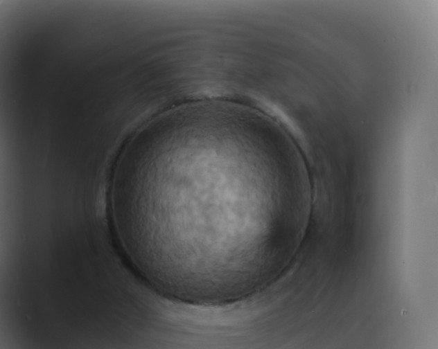 X0000089720010200706281539