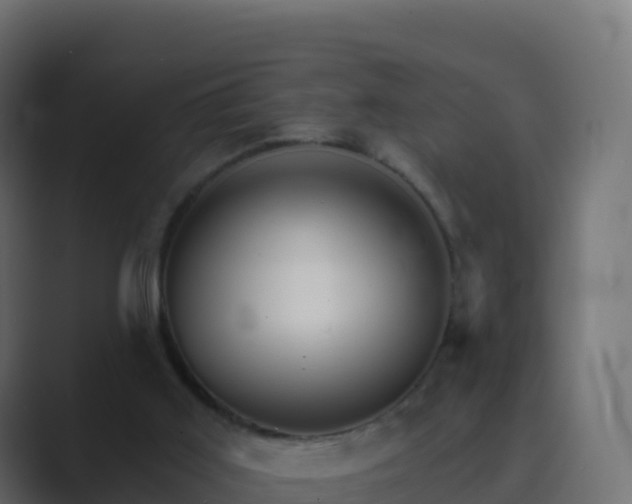 X0000089720011200706281539