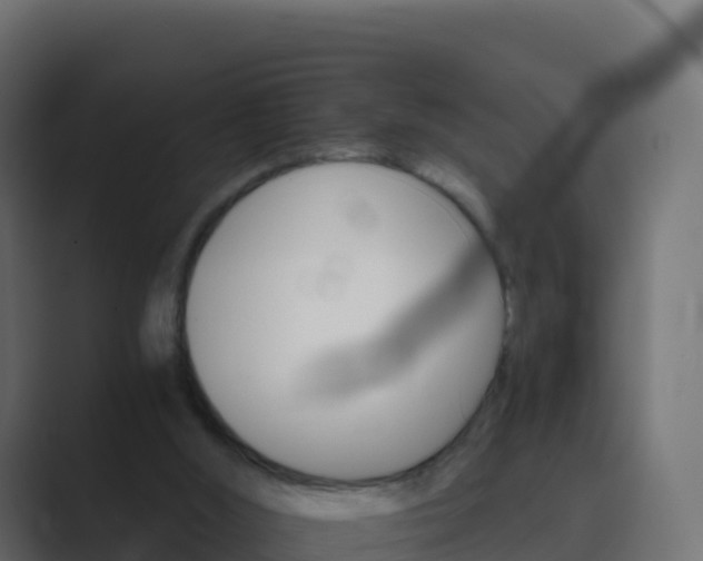 X0000089720012200706281539