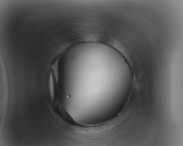 X0000089720013200706281539