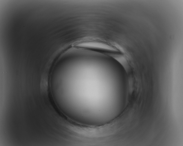 X0000089720015200706281539