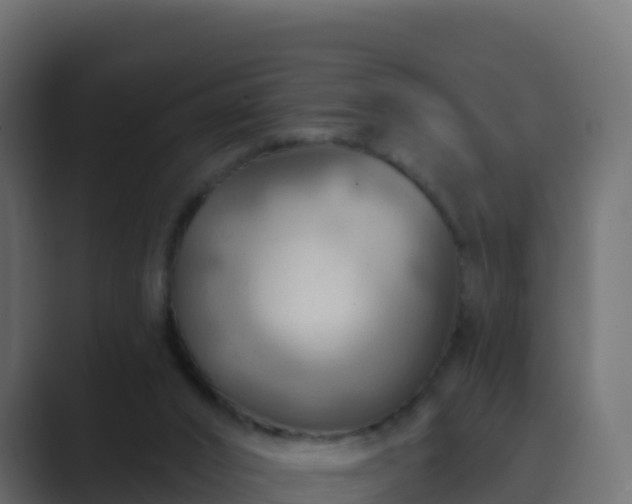X0000089720016200706281539