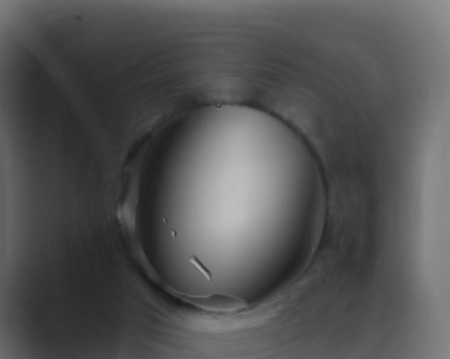 X0000089720017200706281539