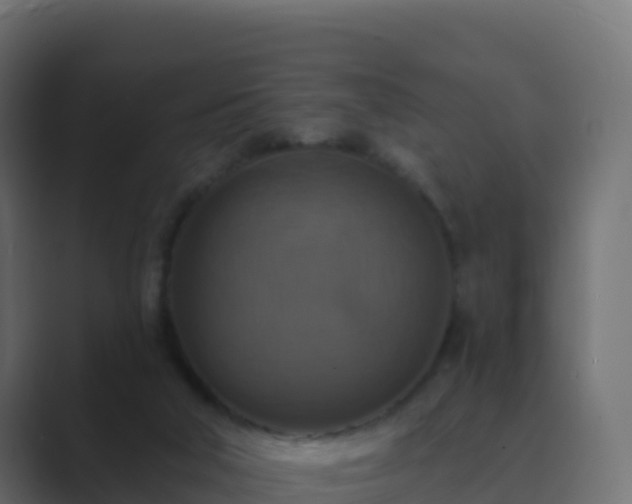 X0000089720018200706281539