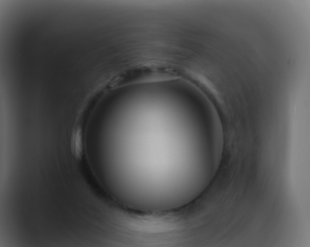 X0000089720020200706281539