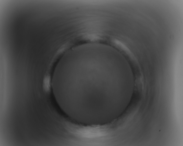 X0000089720024200706281539