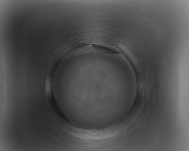 X0000089720026200706281539