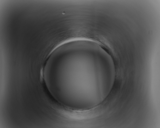 X0000089720027200706281539