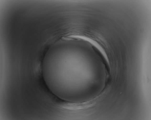X0000089720029200706281539