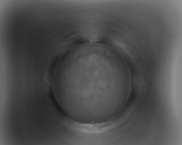 X0000089720030200706281539