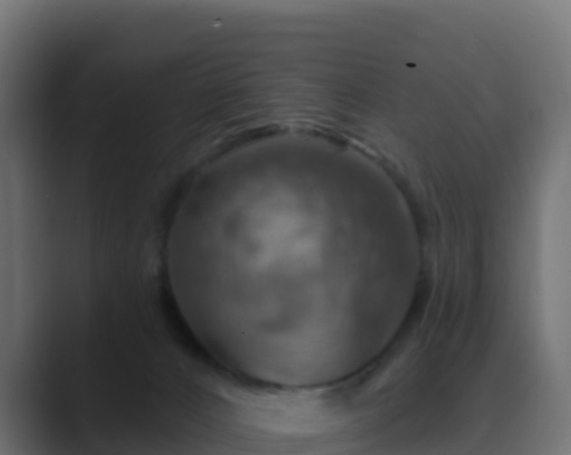 X0000089720032200706281539