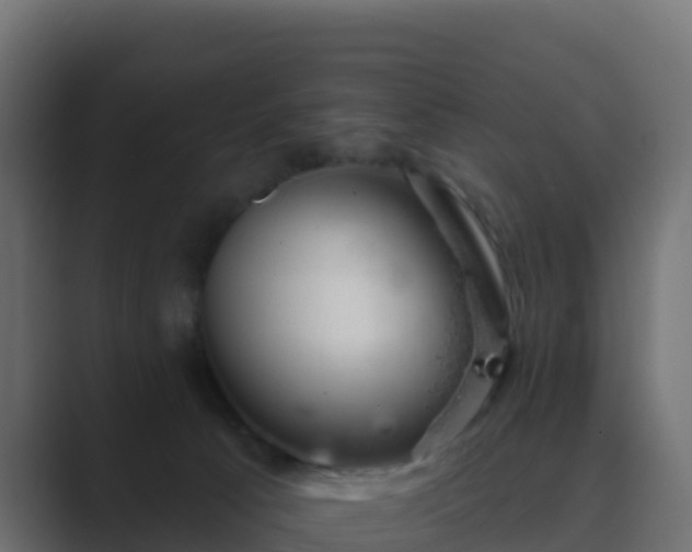 X0000089720033200706281539