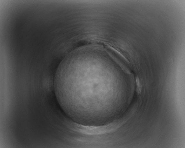 X0000089720034200706281539