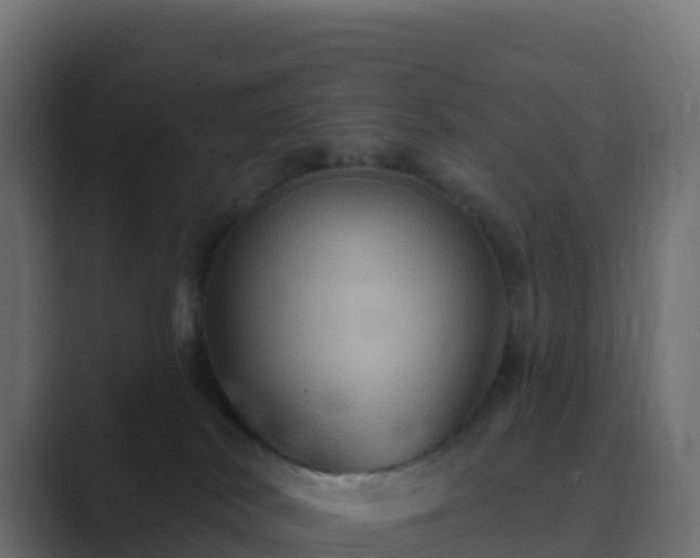 X0000089720038200706281539