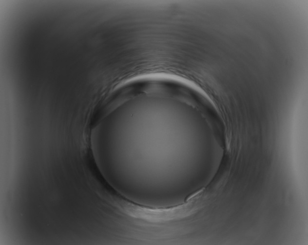 X0000089720039200706281539