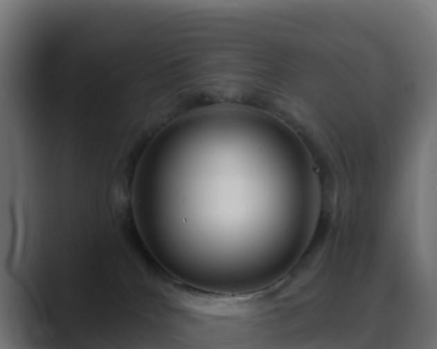 X0000089720040200706281539