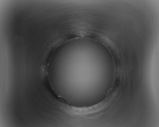 X0000089720043200706281539