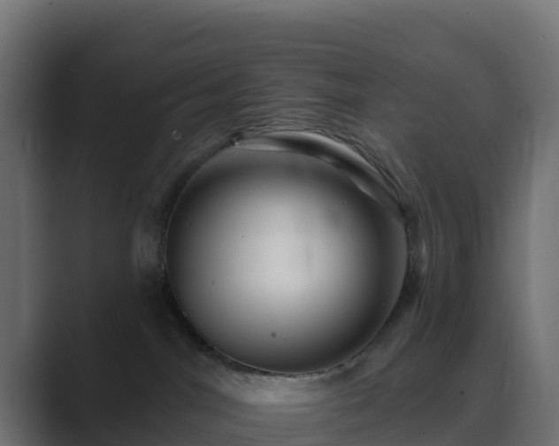 X0000089720044200706281539