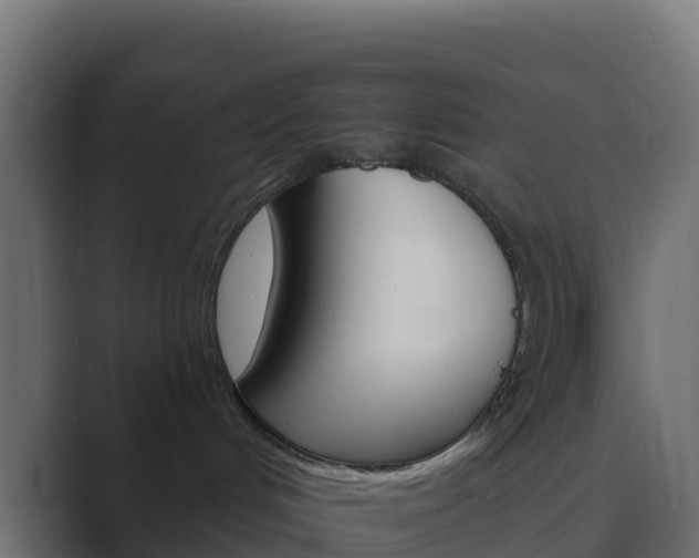 X0000089720048200706281539