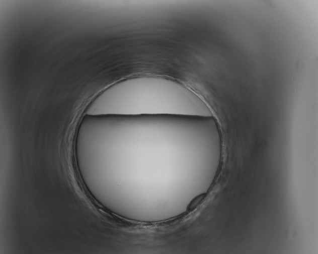 X0000089720049200706281538