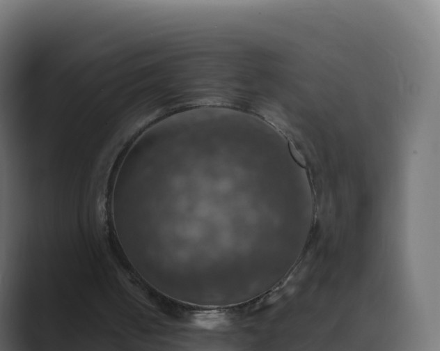 X0000089720050200706281538