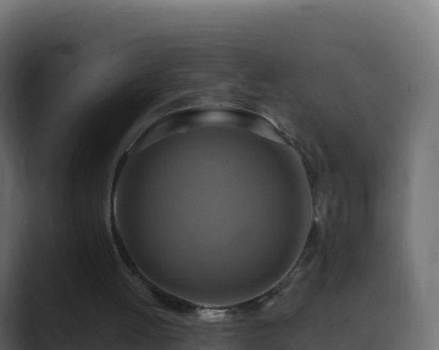 X0000089720052200706281538