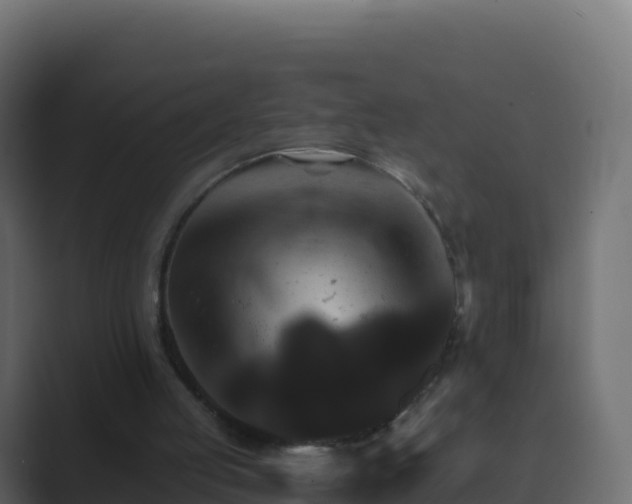 X0000089720053200706281538