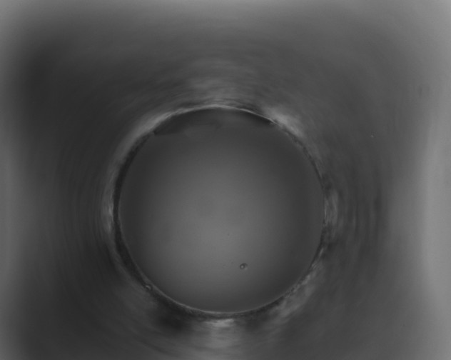 X0000089720054200706281538