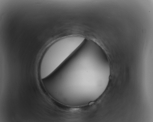 X0000089720055200706281538