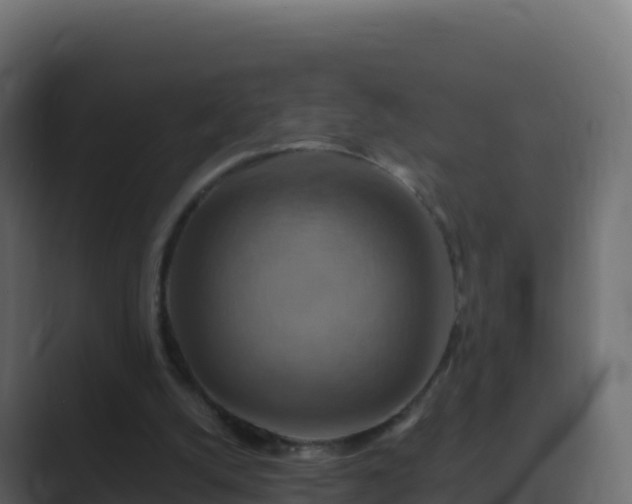 X0000089720056200706281538