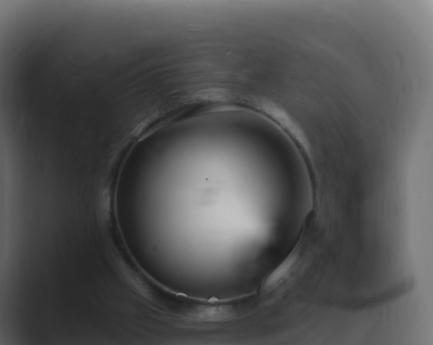 X0000089720057200706281538