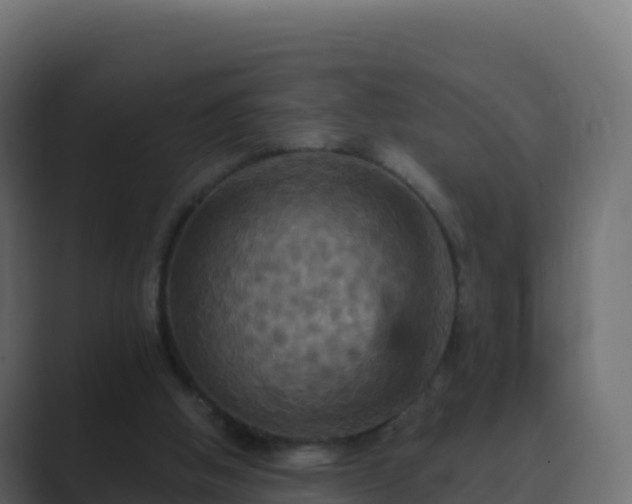 X0000089720058200706281538