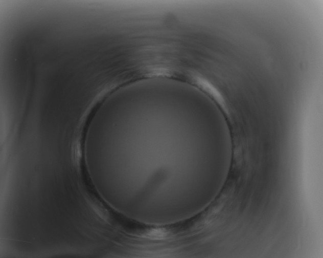 X0000089720059200706281538