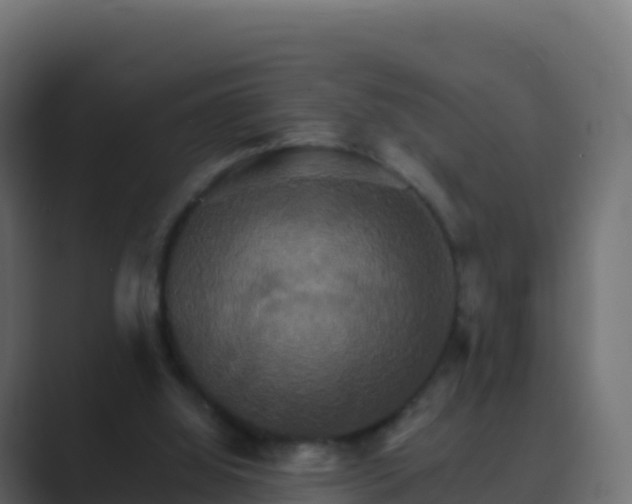 X0000089720060200706281538