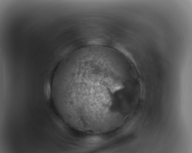 X0000089720061200706281538