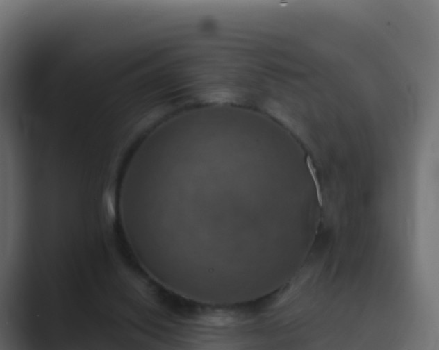 X0000089720062200706281538
