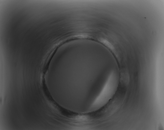 X0000089720063200706281538