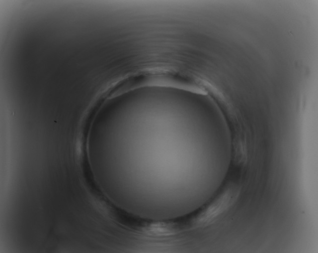 X0000089720064200706281538