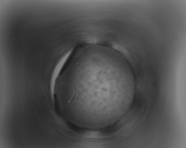 X0000089720066200706281538