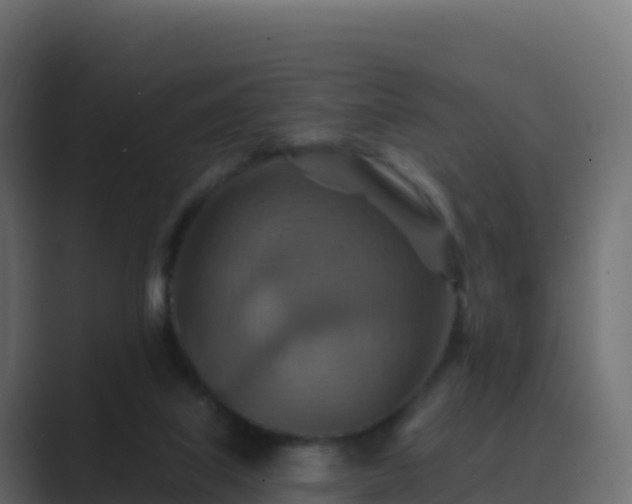 X0000089720067200706281538