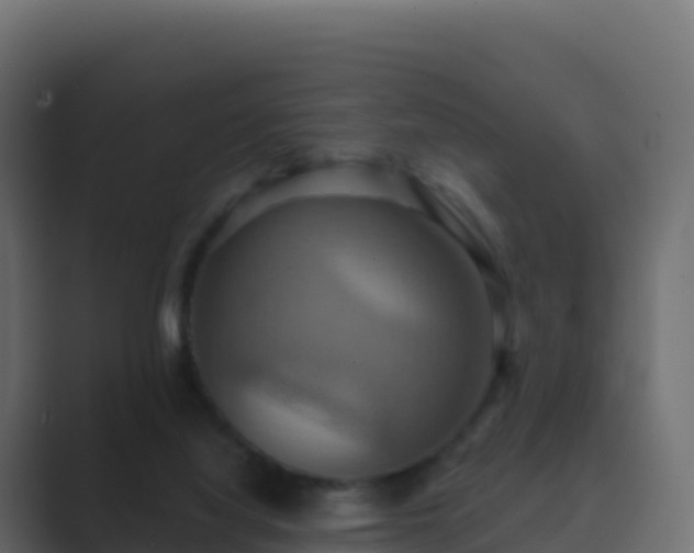 X0000089720068200706281538