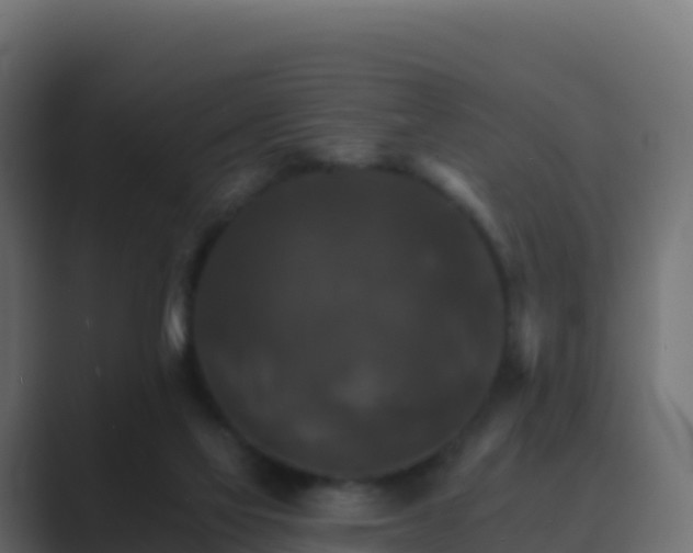 X0000089720069200706281538