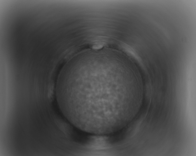 X0000089720073200706281538